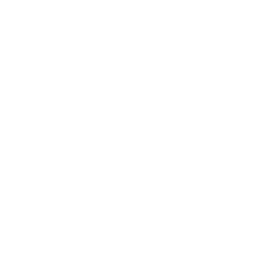 Sociale Dienst Drechtstede - Logo wit