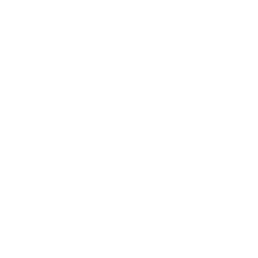 GD - Logo wit