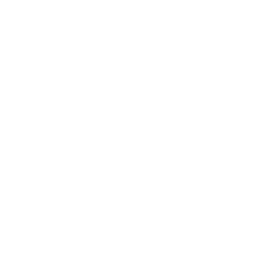 Ministerie van Defensie - Logo wit