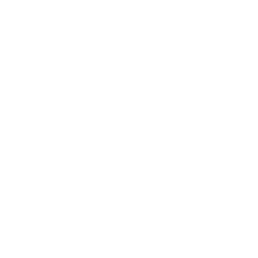 KLM - Logo wit