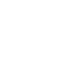 Reaal - Logo wit